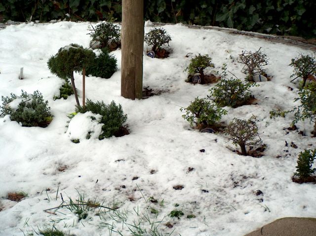 Unsere Gartenbahn Teil 1