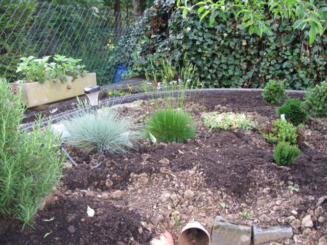 Unsere Gartenbahn Teil 2