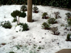 Unsere Gartenbahn Teil 1