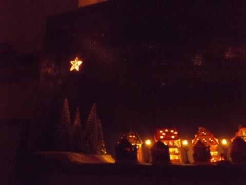 Unsere Gartenbahn Teil 2