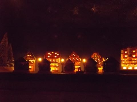 Unsere Gartenbahn Teil 2